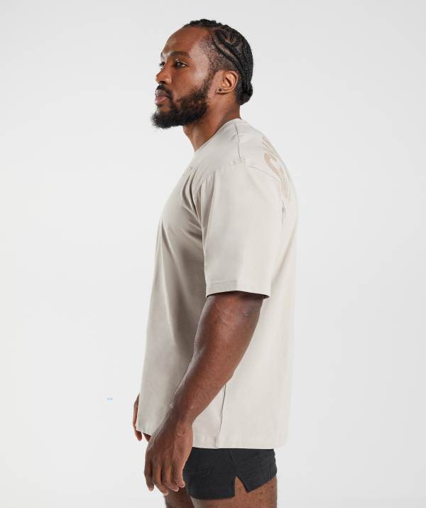 Panske Tricka Gymshark Power Siva | PD4850371